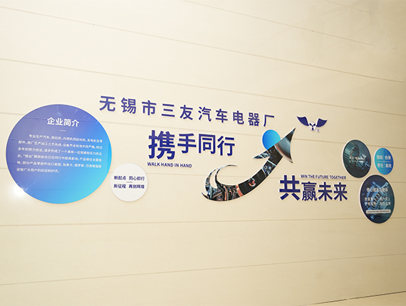 Wuxi Sanyou tvornica autoelektrike